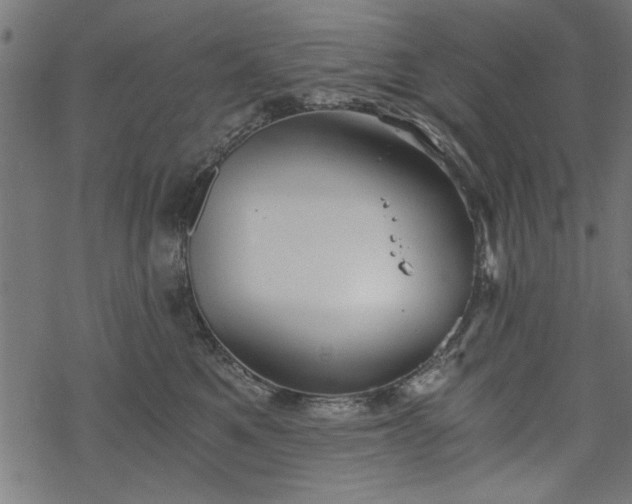 X0000068850521200605081218