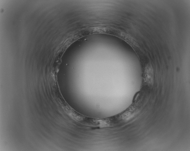 X0000068850522200605081218