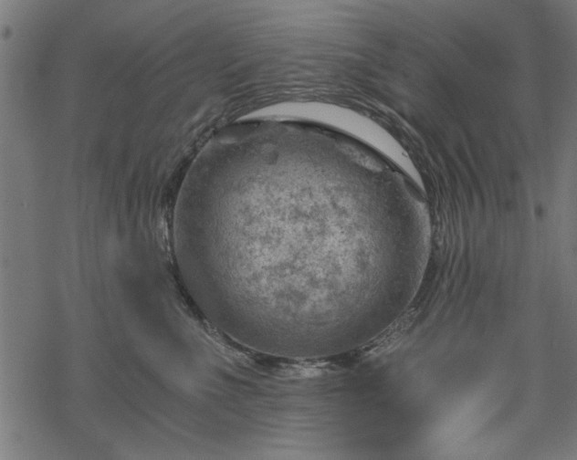 X0000068850523200605081218