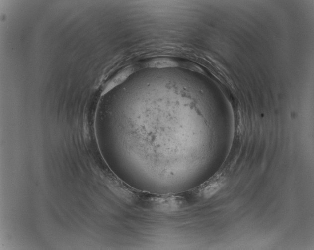 X0000068850524200605081218