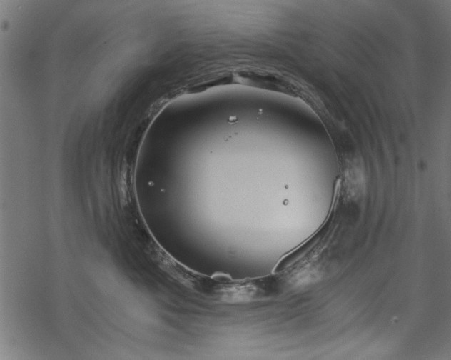 X0000068850525200605081218