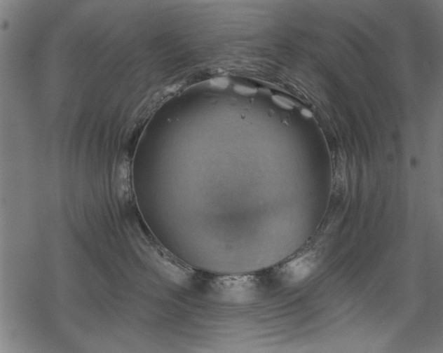 X0000068850526200605081218