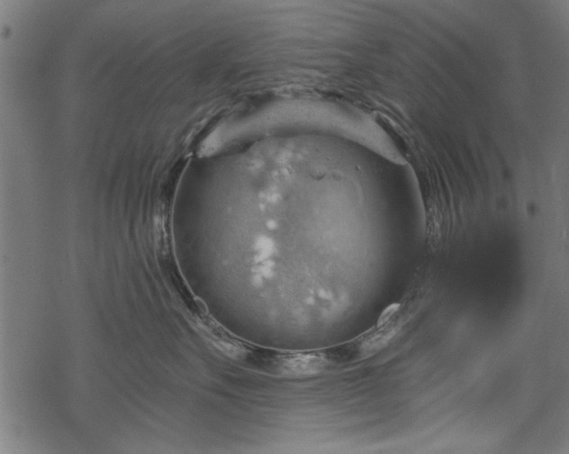 X0000068850527200605081218