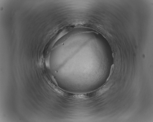 X0000068850528200605081218