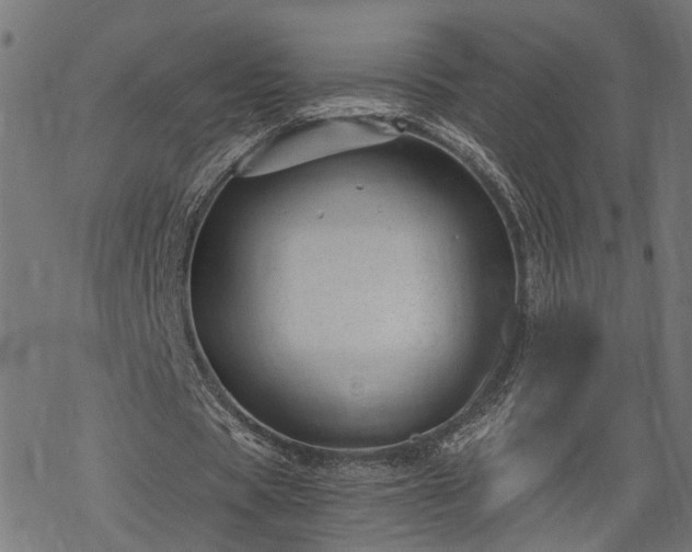 X0000068850529200605081217