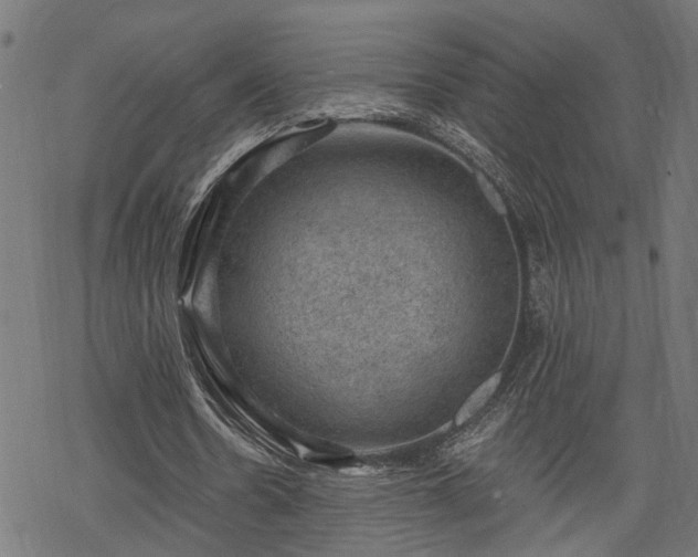 X0000068850530200605081217