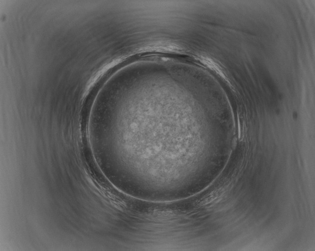 X0000068850531200605081217