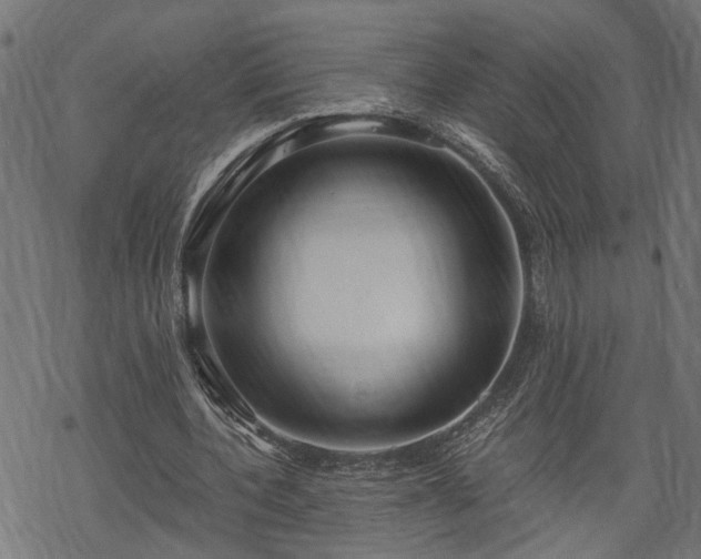 X0000068850532200605081217