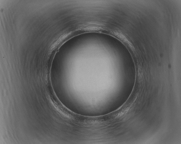 X0000068850533200605081217