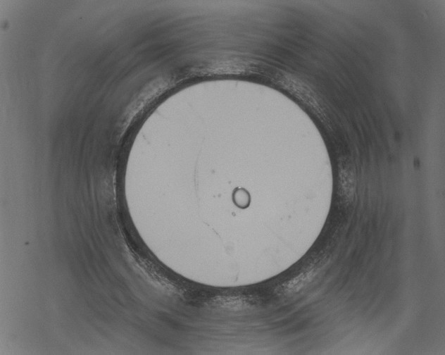 X0000068850534200605081217