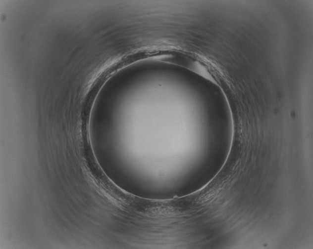 X0000068850535200605081217