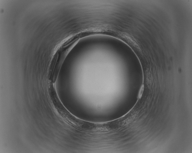 X0000068850536200605081217