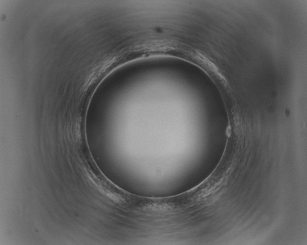 X0000068850537200605081217