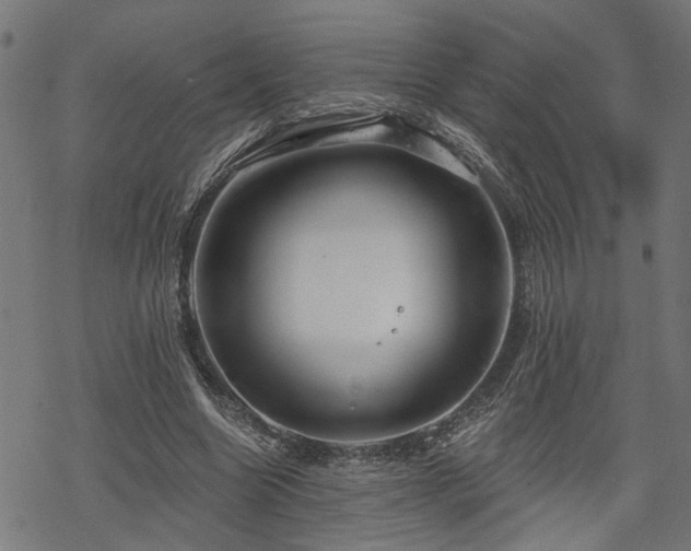 X0000068850538200605081217