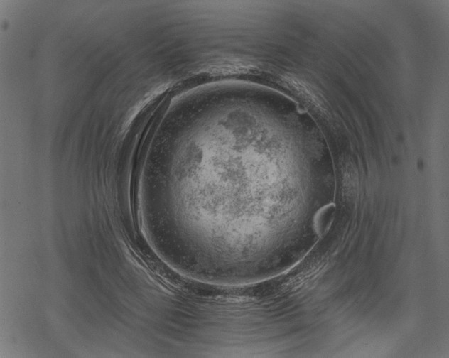 X0000068850539200605081217