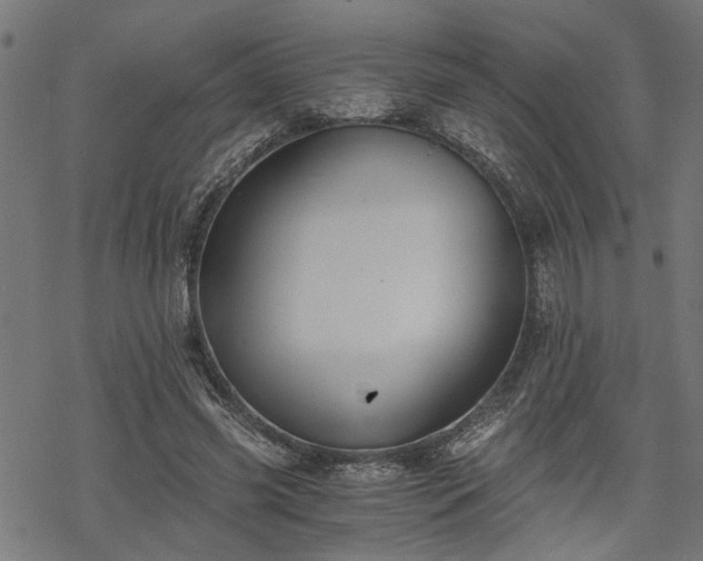 X0000068850541200605081217