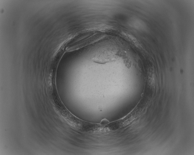 X0000068850543200605081217