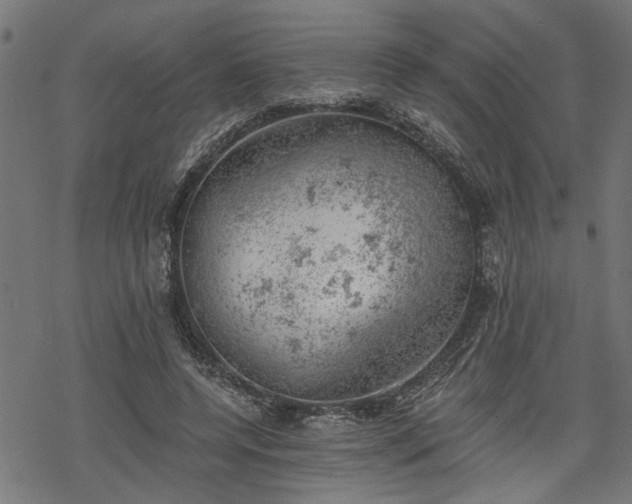 X0000068850544200605081217