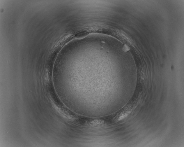 X0000068850546200605081217