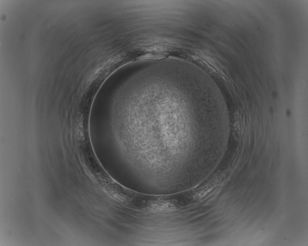 X0000068850547200605081217