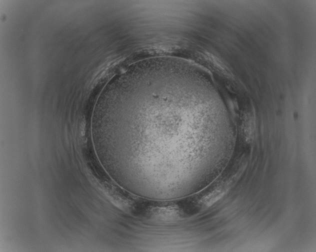 X0000068850548200605081217