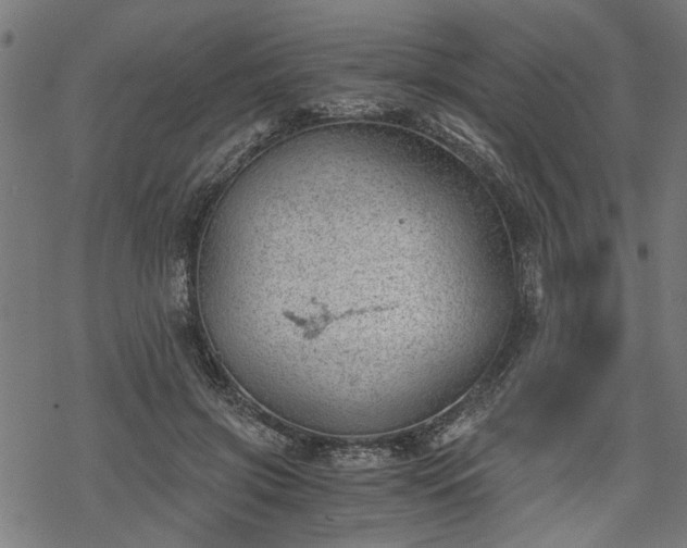 X0000068850549200605081217