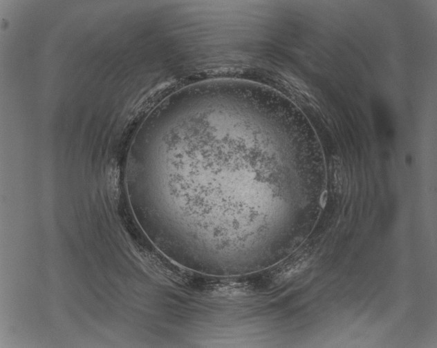 X0000068850550200605081217