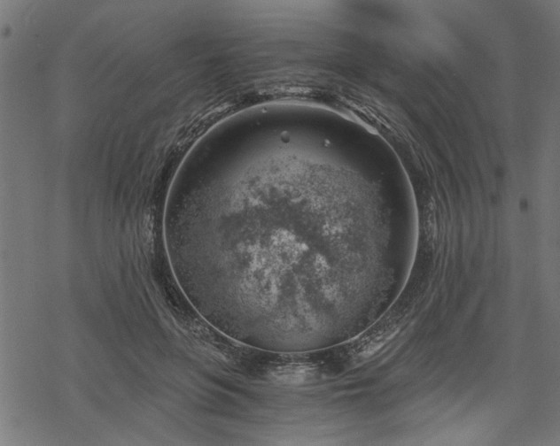 X0000068850551200605081217