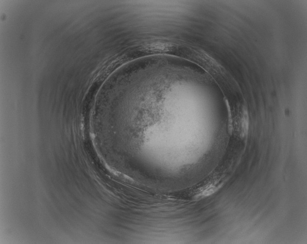 X0000068850552200605081217