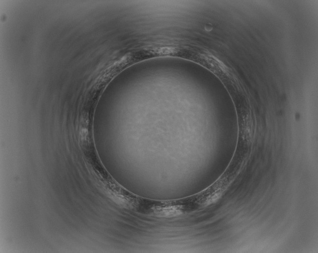 X0000068850553200605081217