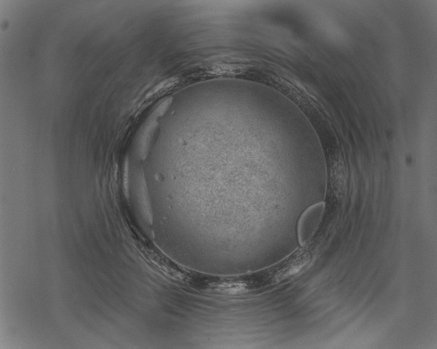 X0000068850554200605081218