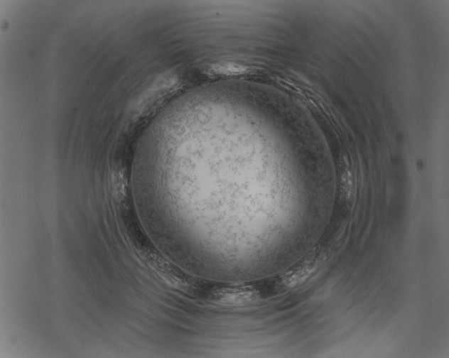 X0000068850555200605081218