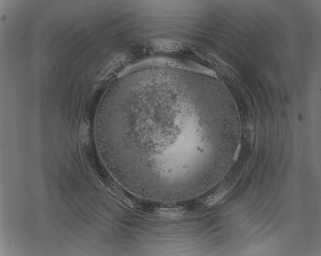 X0000068850556200605081218