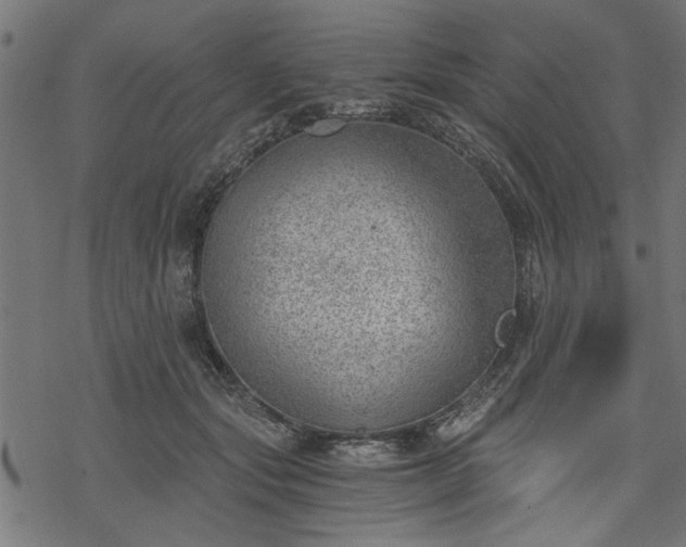 X0000068850557200605081218