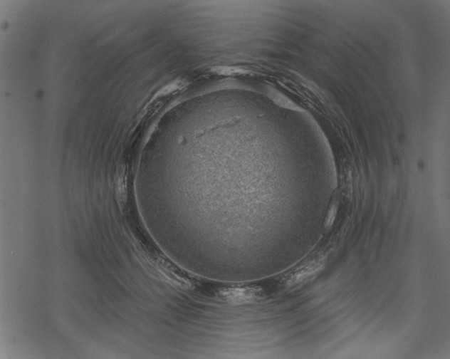 X0000068850558200605081218