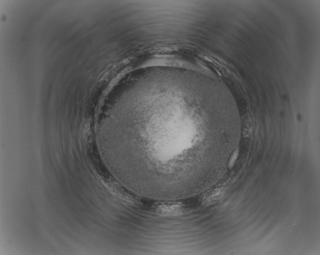 X0000068850560200605081218