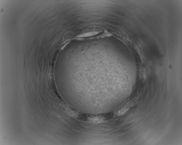 X0000068850561200605081218