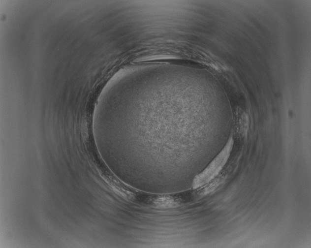 X0000068850562200605081218