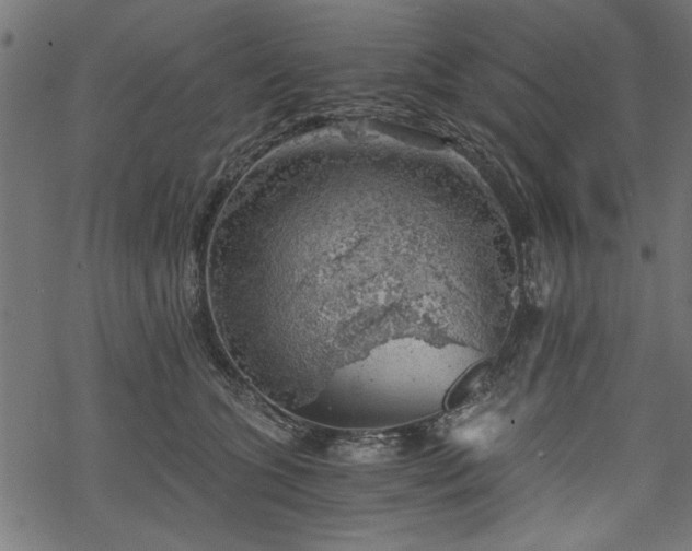 X0000068850563200605081218