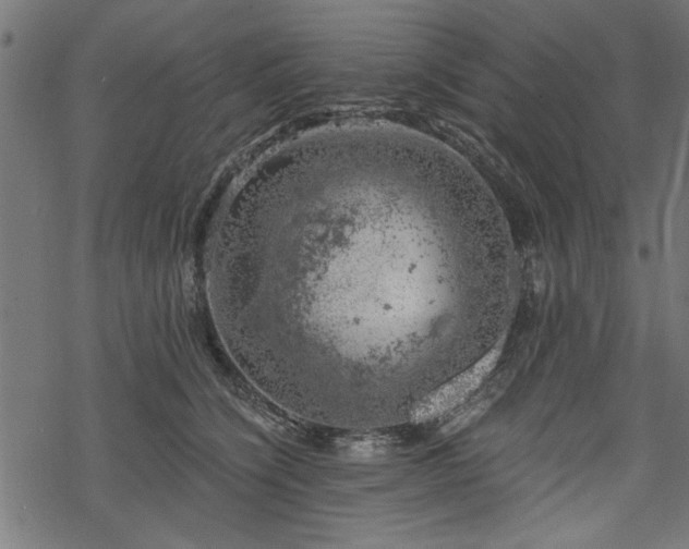 X0000068850564200605081218