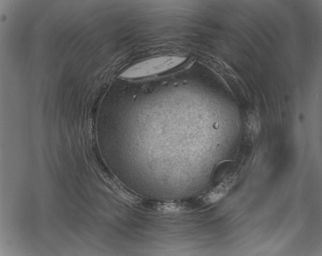 X0000068850565200605081218