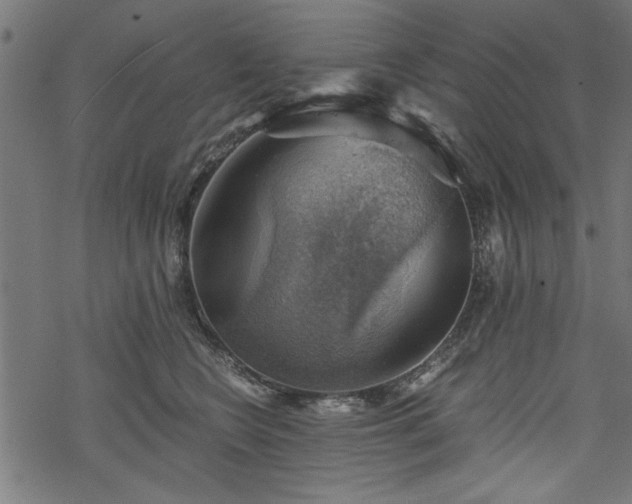 X0000068850566200605081218