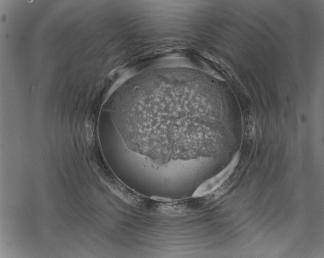 X0000068850568200605081218