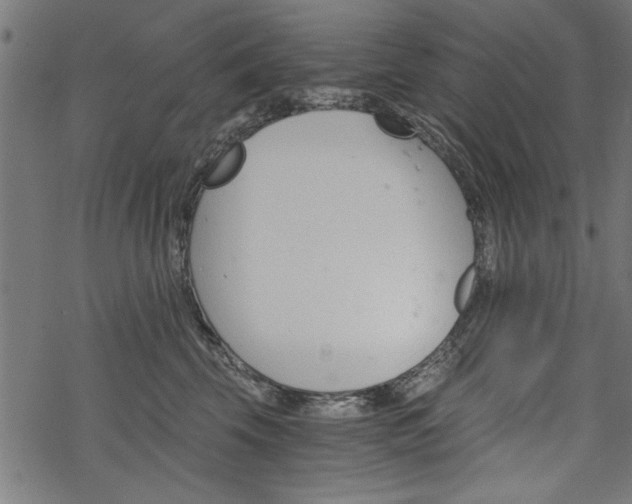 X0000068850569200605081218