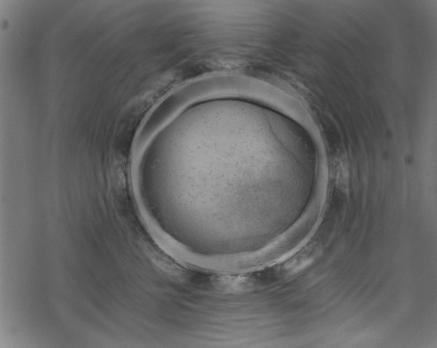 X0000068850570200605081218