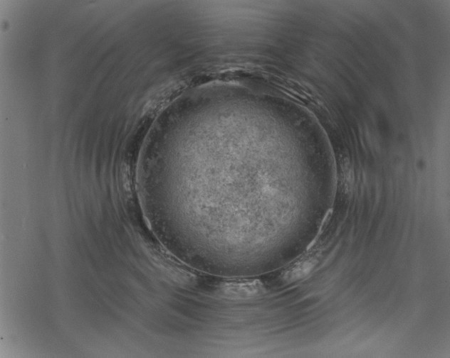 X0000068850571200605081218