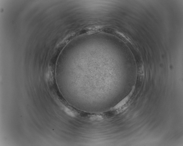 X0000068850572200605081218