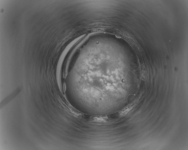 X0000068850573200605081218