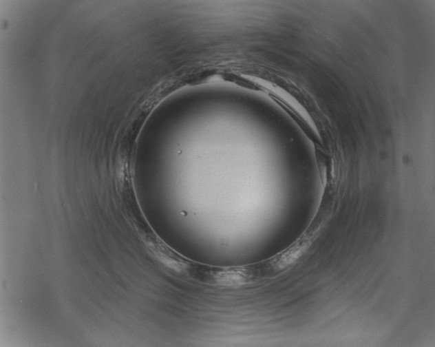 X0000068850574200605081218