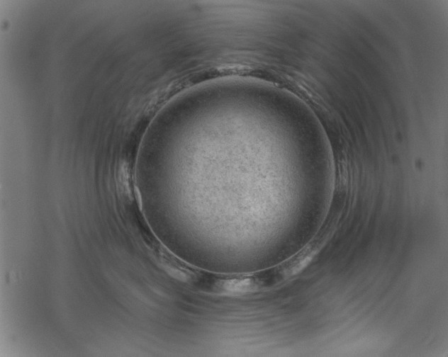 X0000068850575200605081218